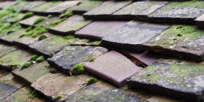 Maids Moreton roof repair costs